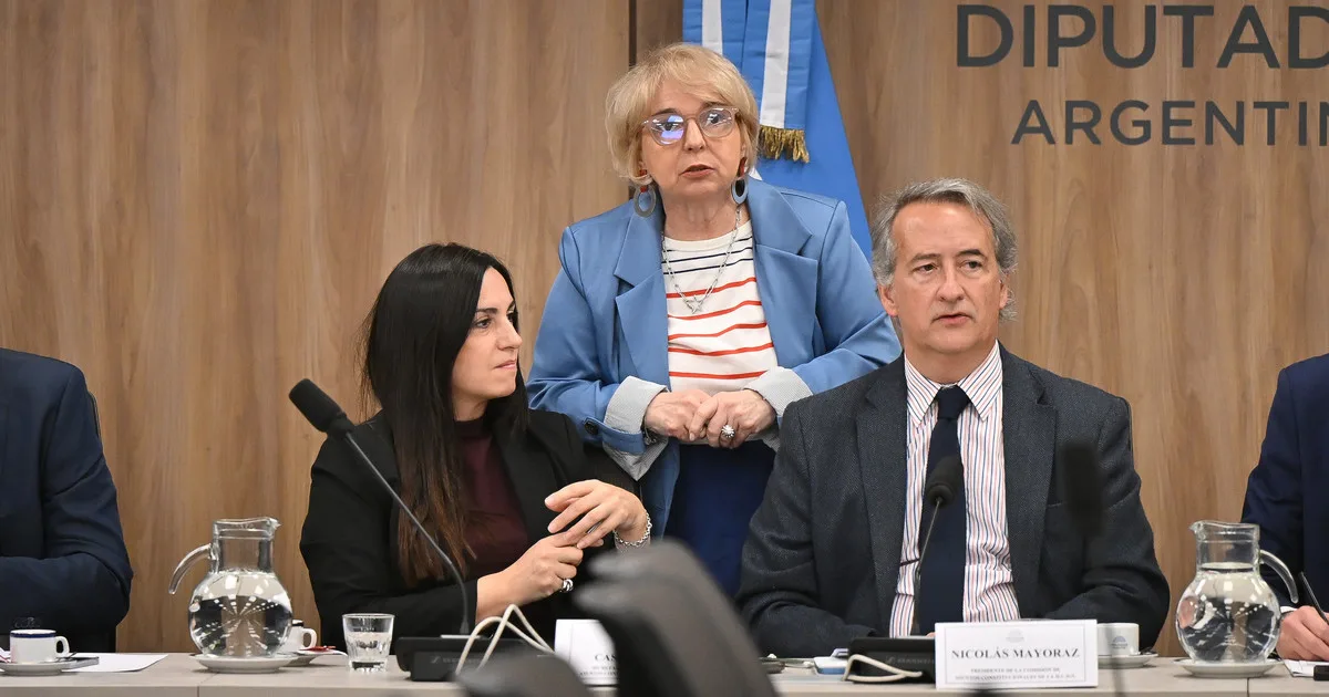Para que no se caiga el DNU 70, el oficialismo busca restituir los límites a la compra de tierras por los extranjeros