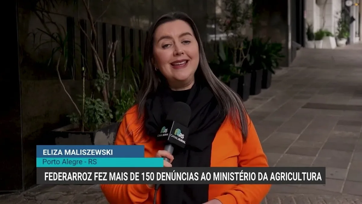 Federarroz denuncia irregularidades na classificação do arroz no Brasil
