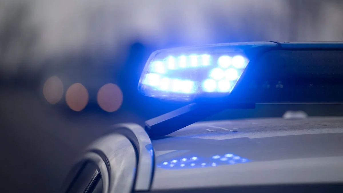 Hund auf der Autobahn: Hund bremst Verkehr auf A8 aus - Hubschrauber im Einsatz