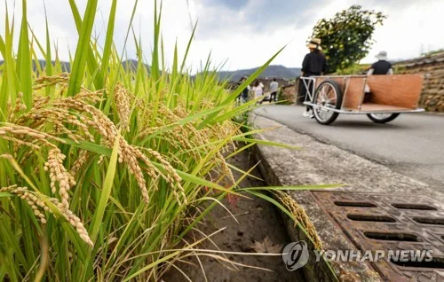 [2027예산] 농어촌 기본소득 대상지역 35개로 확대·직불금 첫 3조원