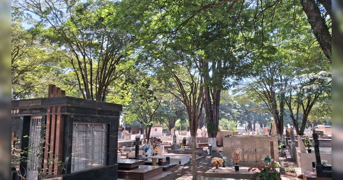 Confira os falecimentos desta quinta-feira (03) em Arapongas