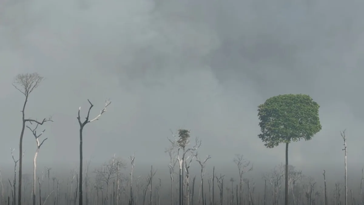 VÍDEO: fumaça de incêndio que já atingiu 15 mil hectares encobre cidades do norte de MT
