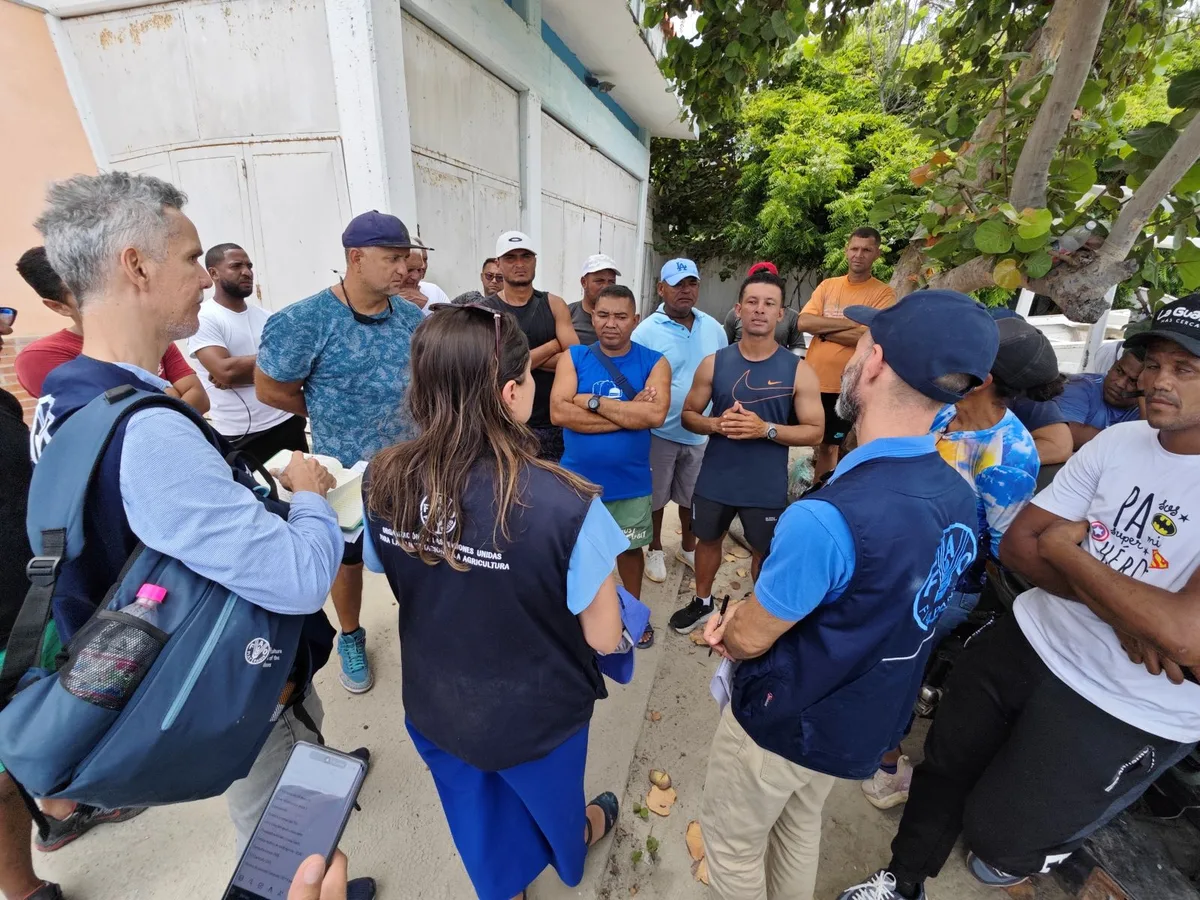 La FAO y el Ministerio de Pesca evalúan daños en las comunidades costeras de La Guaira y Miranda