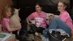 Activists found guilty of theft of King's lambs