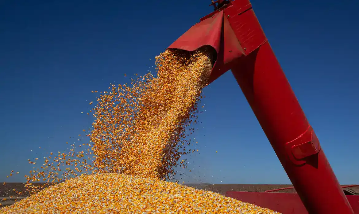Conab prevê alta de 12,9% na produção de grãos do Acre