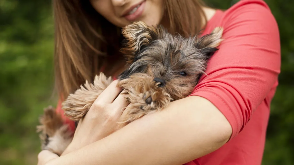 La psicología dice que las personas que se sienten incomprendidas crean vínculos más fuertes con sus mascotas
