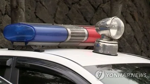 나체로 주택가 배회한 40대…경찰, 테이저건 쏴 체포