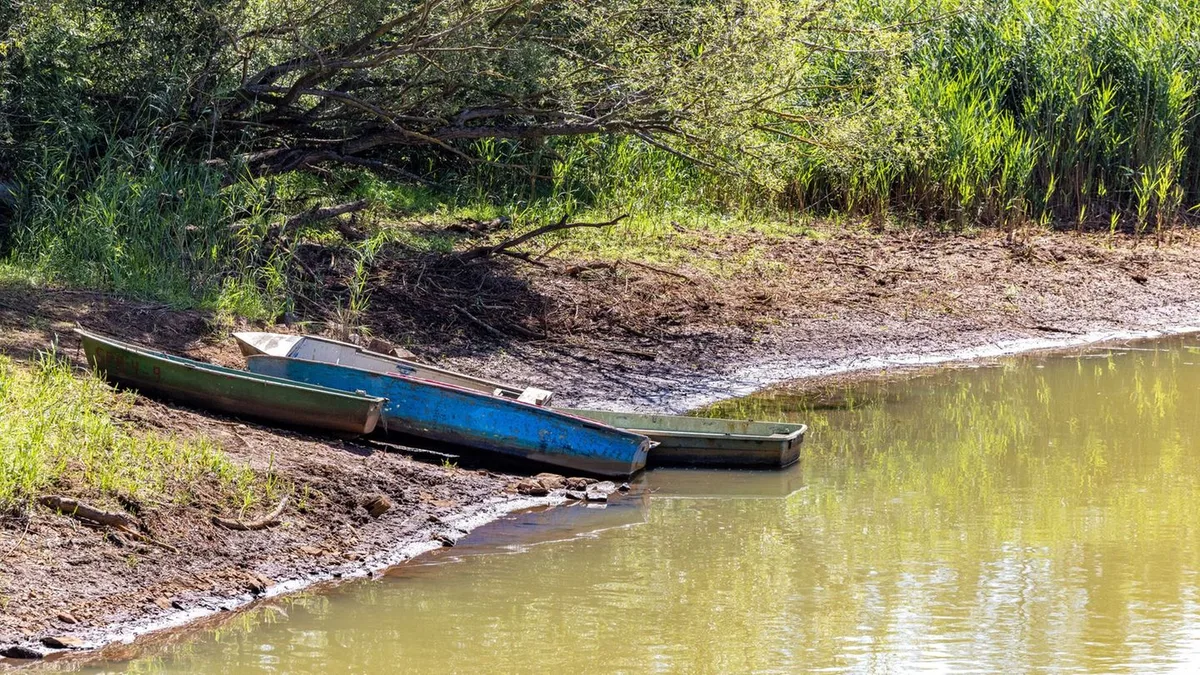 Niedrigwasser: Spree verliert Wasser: Behörden greifen stärker ein