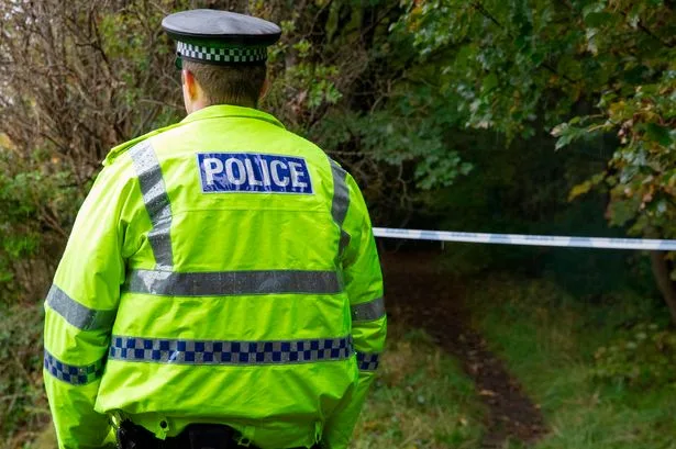 Boy, 12, arrested after reports girl, 8, was sexually assaulted in playground