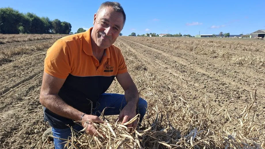 VIDÉO - Canicules et sécheresse : "C'est la pire année" pour Anthony Lardière, producteur de mogettes de Vendée
