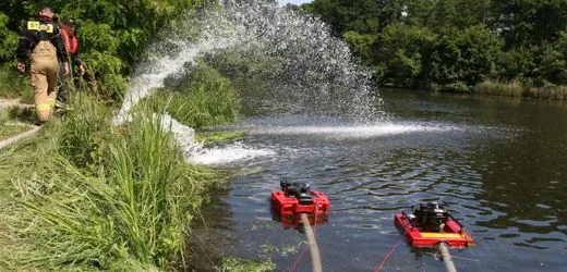 Vier Tonnen tote Fische - Polen kämpft gegen giftige Goldalge in Oder-Nebengewässer
