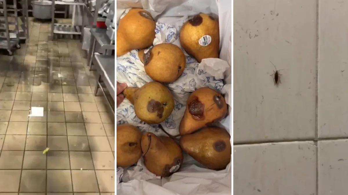 Secretaría de Salud responde a denuncias por cucarachas y alimentos en mal estado en comedor de trabajadores del INP