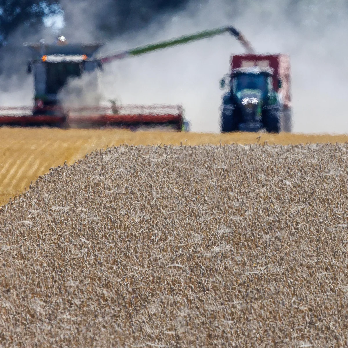 Bundesagrarminister - Rainer (CSU): Suizidrate bei Landwirten deutlich höher als im Rest der Bevölkerung