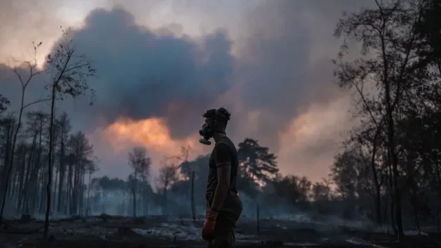 Sérvia pede ajuda à UE para combater dezenas de incêndios florestais