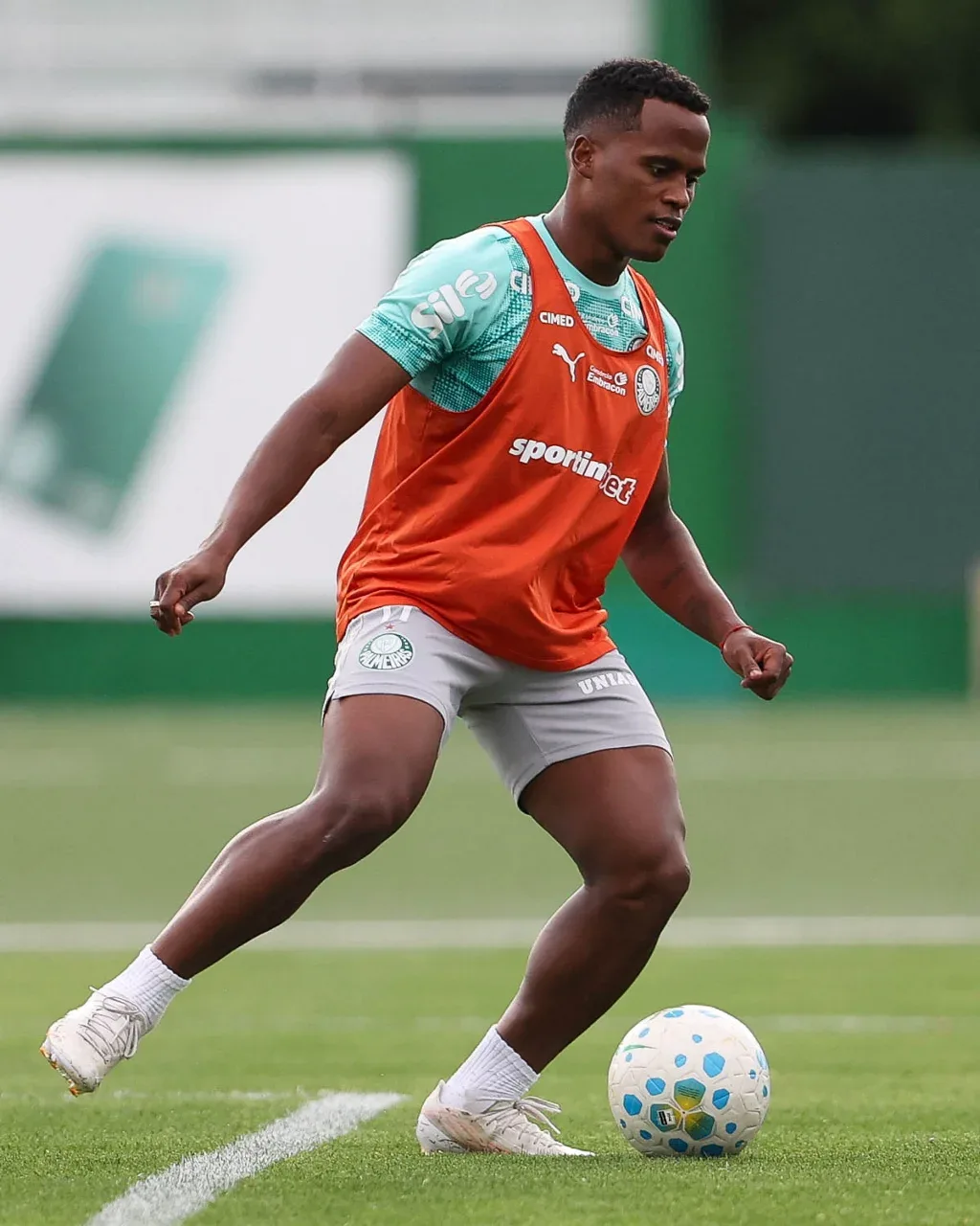 Palmeiras fecha preparação e deve ter reforços em clássico; veja time provável