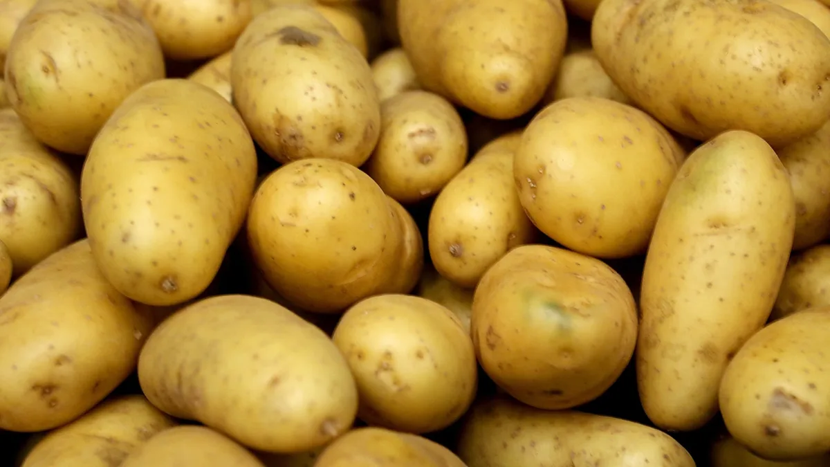 Les frites seront plus petites dans les prochains mois: entre sécheresse, chaleur et surproduction, la récolte française de pommes de terre s'annonce très mauvaise en 2026