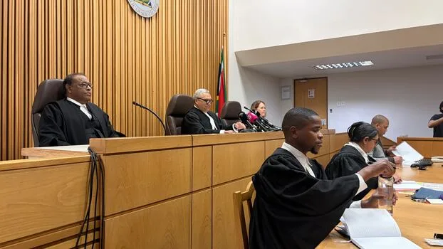Phala Phala panel asked wrong questions and applied wrong test, says Ramaphosa lawyer