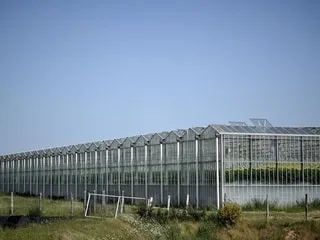 Près du Mont-Saint-Michel, le projet contesté d’extension des serres géantes