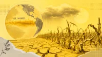 Proagro tem redução de R$ 1 bi no orçamento de 2027