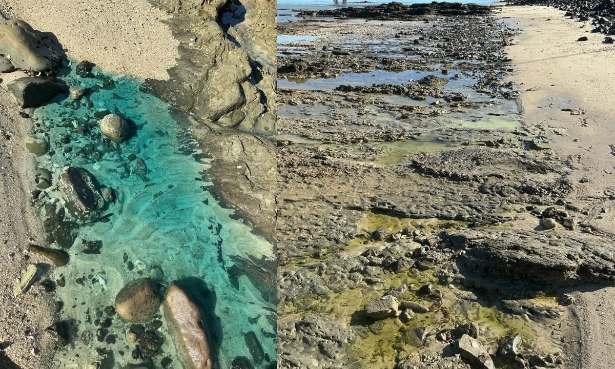 Moradores de São Tomé de Paripe propõem auxílio emergencial único de R$ 12 mil após sete meses de contaminação na praia