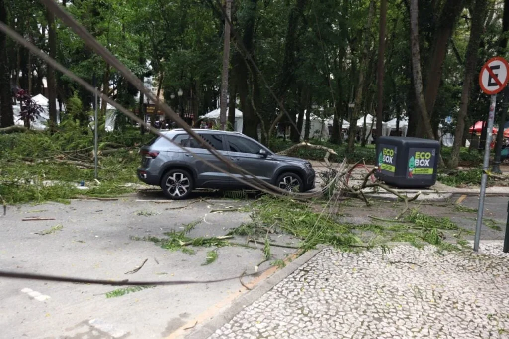 Queda de galho de árvore em Praça de Curitiba deixa mulher ferida; prefeitura suspende feira por precaução