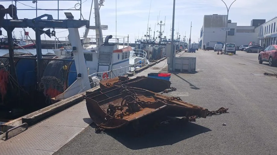 "Ça fait peur !" : paroles de jeunes pêcheurs en Bretagne après le naufrage du Maranello