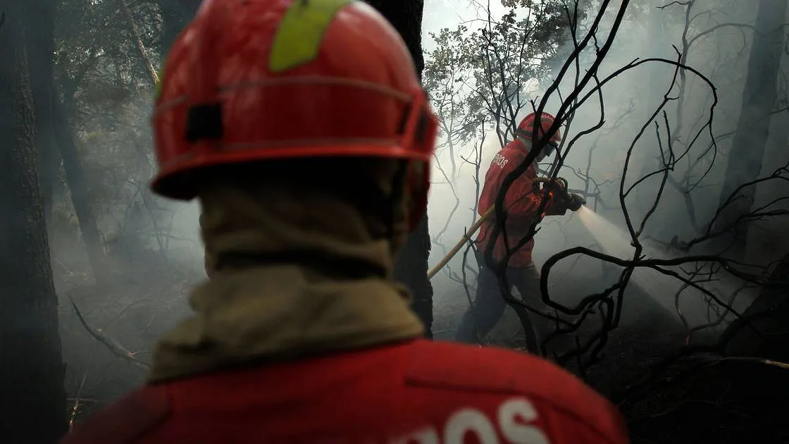Cinco bombeiros feridos durante combate ao fogo em Alijó