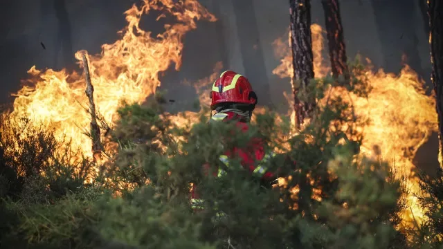 Cinco bombeiros feridos após viatura arder "por completo" em Vinhais