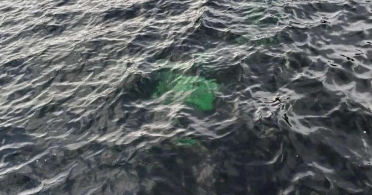 Una camioneta apareció hundida en un lago de Comodoro Rivadavia: la principal hipótesis de los investigadores