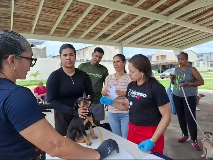 Realizarán jornadas de vacunación antirrábica en Ciudad Guayana