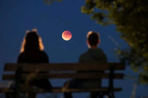 Lunar Eclipse blood moon watch live: Moon to turn red as earth's shadow becomes visible tonight