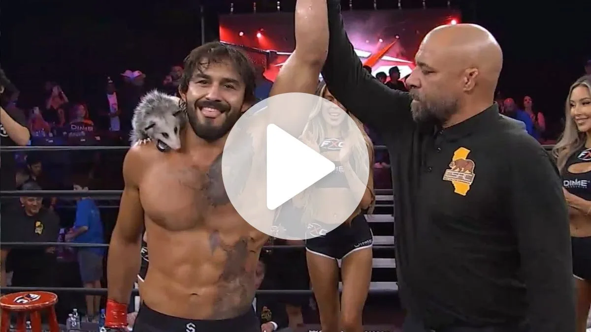 VÍDEO: Lutador nocauteia rival e comemora vitória com gambá de estimação no ringue