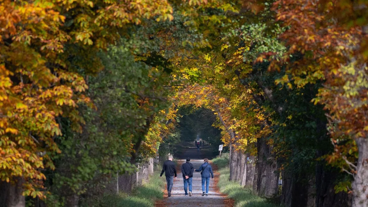 Wetteraussichten: Wechselhaftes Herbstwetter in Hessen