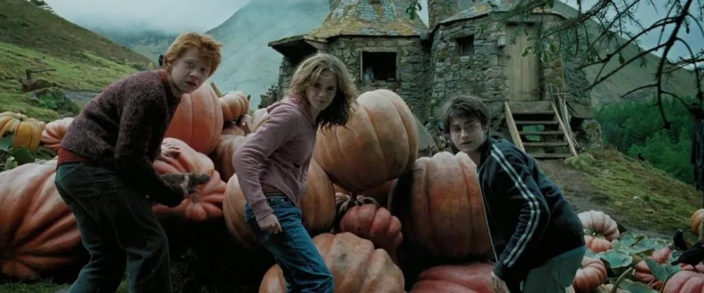 Produtor de ‘Harry Potter’ revela MOTIVO de Alfonso Cuarón não ter retornado à saga após ‘Prisioneiro de Azkaban’