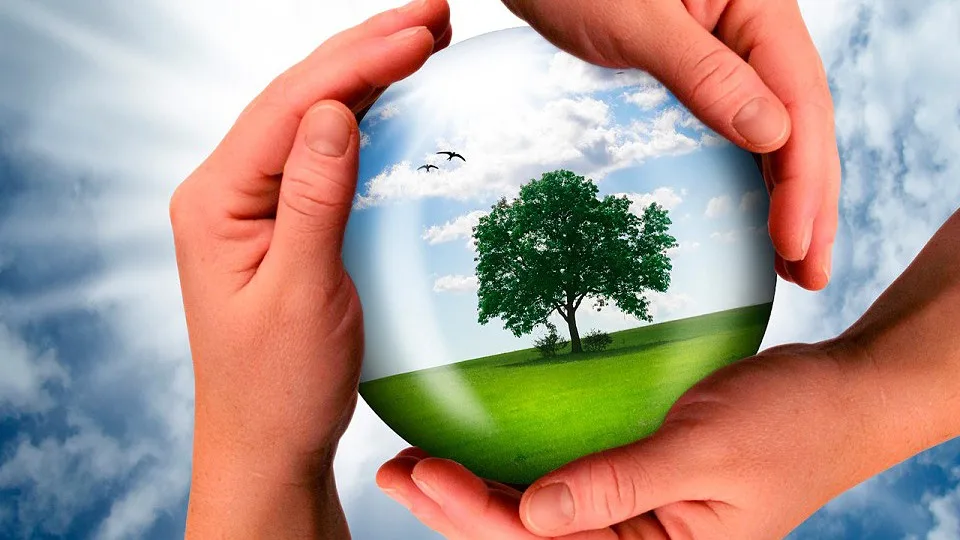 EUA ameaçam responder se Bruxelas não limitar impacto da diretiva europeia de sustentabilidade