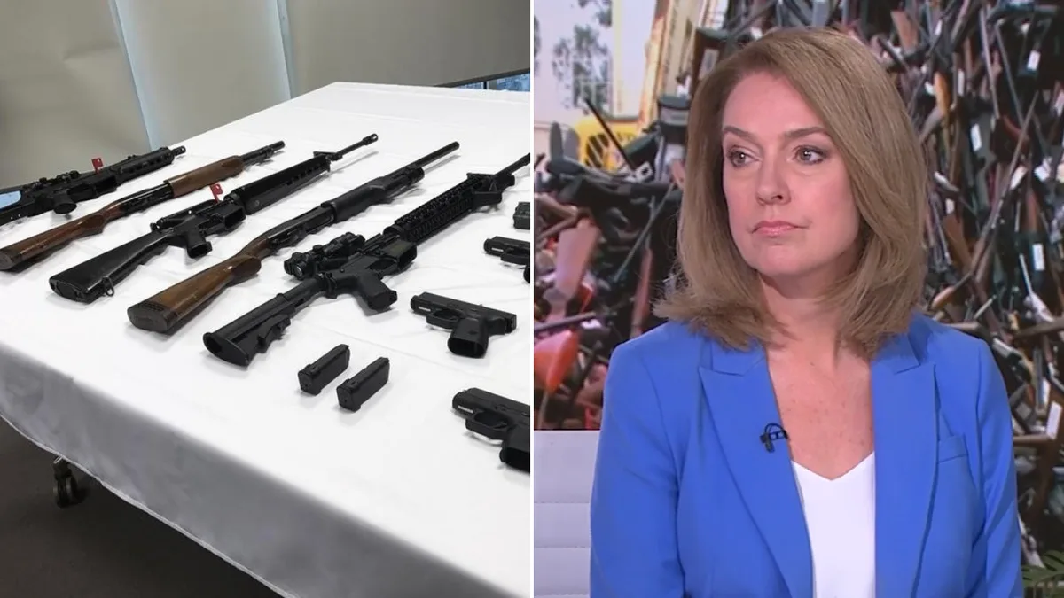 ‘Hold on to your guns’: NSW Opposition leader says gun buyback scheme targets ‘wrong enemy’