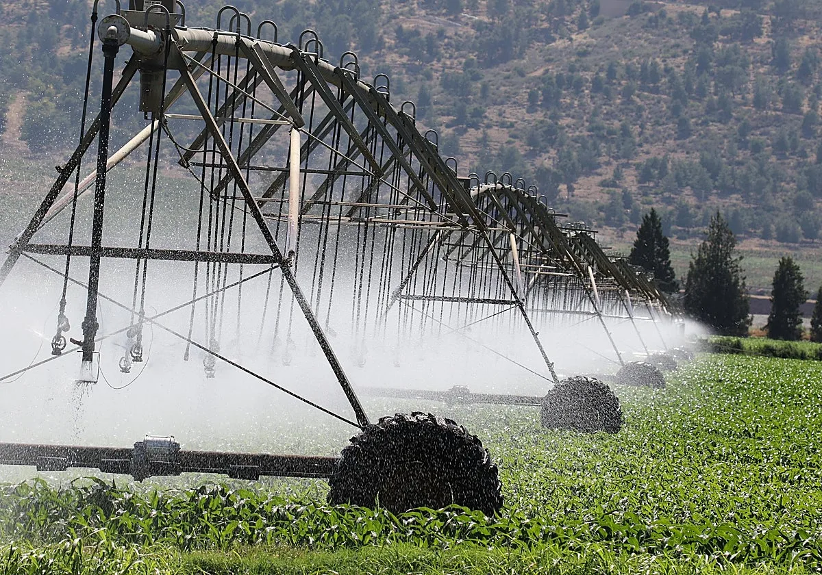 El agua ya decide dónde crecen las empresas