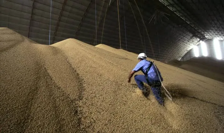 IBGE aponta queda na estimativa da produção agrícola do Acre em agosto