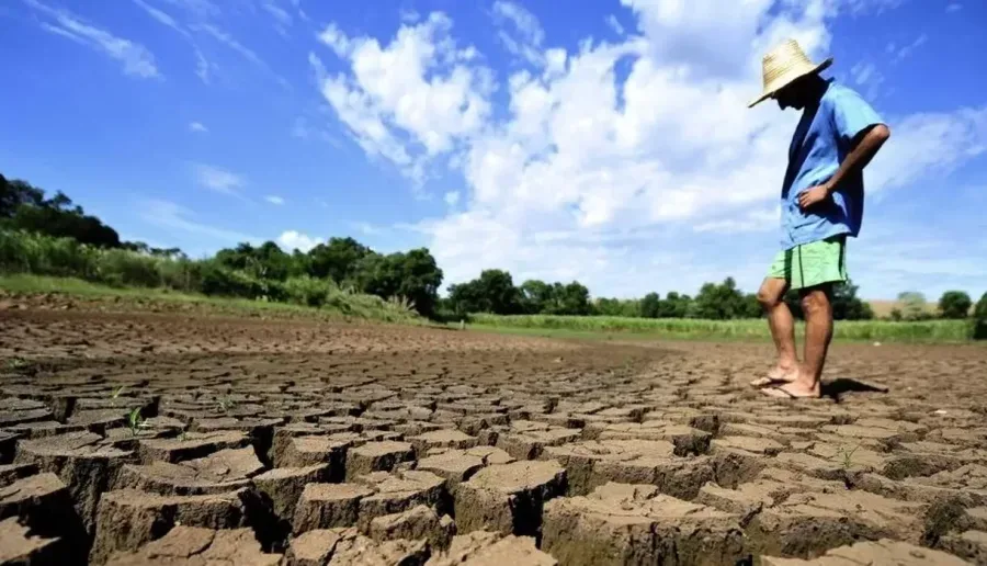 Estiagem se agrava e Roraima decreta emergência para enfrentar impactos do El Niño