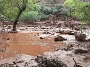 Dos muertos y desaparecidos deja inundación en Gran Cañón