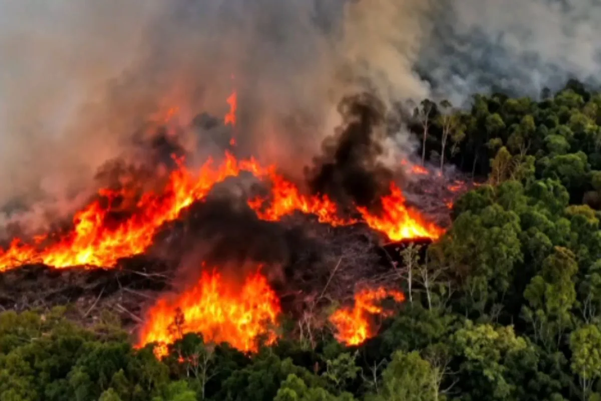 Governo anuncia envio de novos aviões para combater incêndios no Amazonas