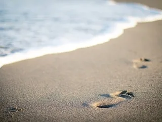 Qualité de l’eau, propreté, taille des vagues… Voici les 10 plus belles plages américaines idéales pour la baignade