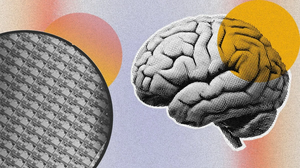 À Singapour, de vrais neurones humains cultivés en labo font tourner l’IA