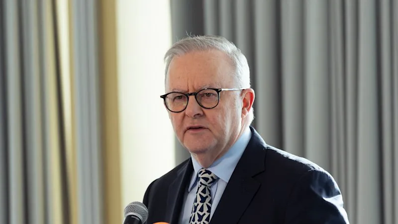 Open AI breaches Medicare, Albanese reveals