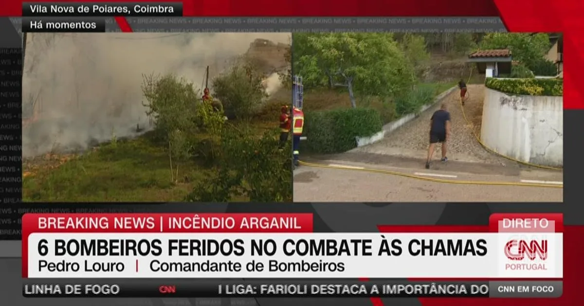 Incêndios. "O próprio fogo forma uma corrente convectiva que transporta partículas incandescentes até cinco quilómetros de distância"