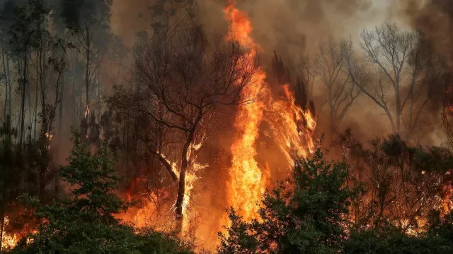 Número de feridos em incêndio de Valongo sobe para 7 (há dois graves)