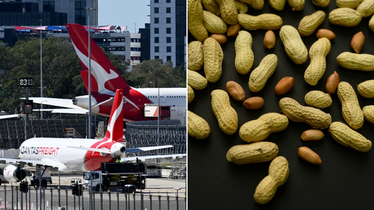 Airlines urged to make safety changes after passenger’s anxious flight with peanut allergy