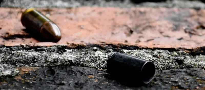 Lesufi calls for swift investigations into deadly Gauteng shootings