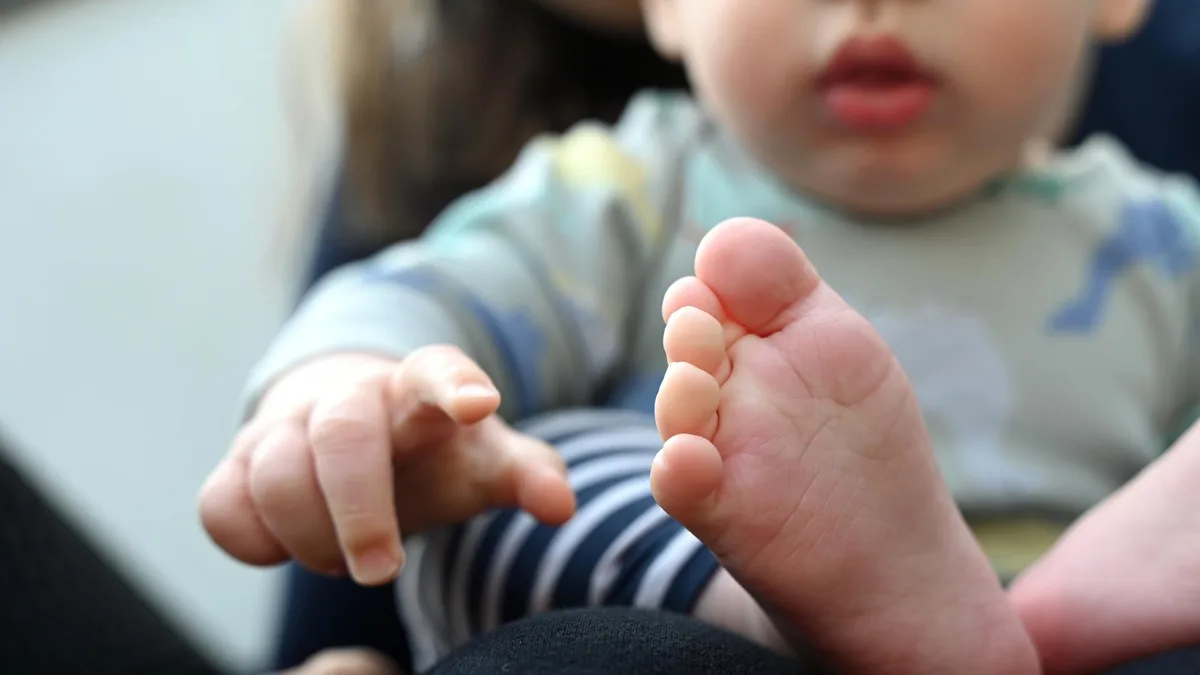 Institut für Bevölkerungsforschung: Was Menschen vom Kinderkriegen abhält