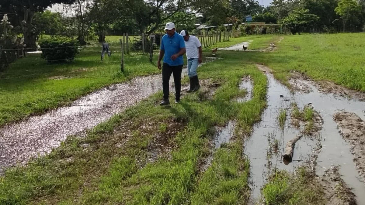 Calles "vueltas un chiquero" y obras abandonadas por el chavismo: Así está Los Alelíes en Mantecal